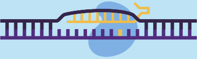Base editing system gene editing a DNA strand