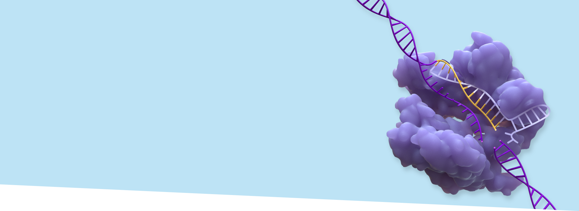 CRISPR/Cas gene editing system unraveling a  DNA strand