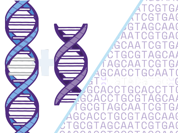 Two DNA strand icons with plus sign representing gene addition and ACGT letters graphic representing DNA code