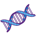 DNA icon representing the gene-therapy procedure